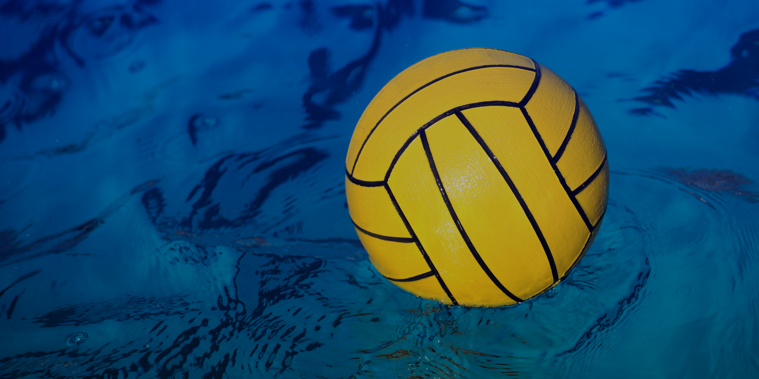 Wasserball: Die hochintensive Sportart, die im Sportwettenbereich für Furore sorgt